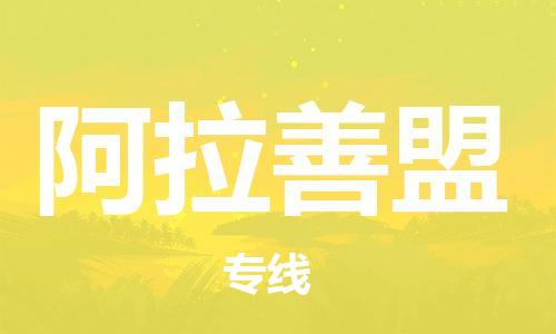 成都到阿拉善盟物流公司-成都到阿拉善盟專線-直達(dá)物流